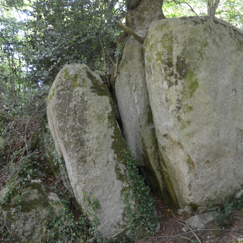 Image de Bois de Keroual