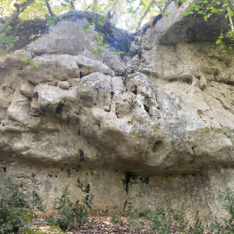 Image de Bois de la pue