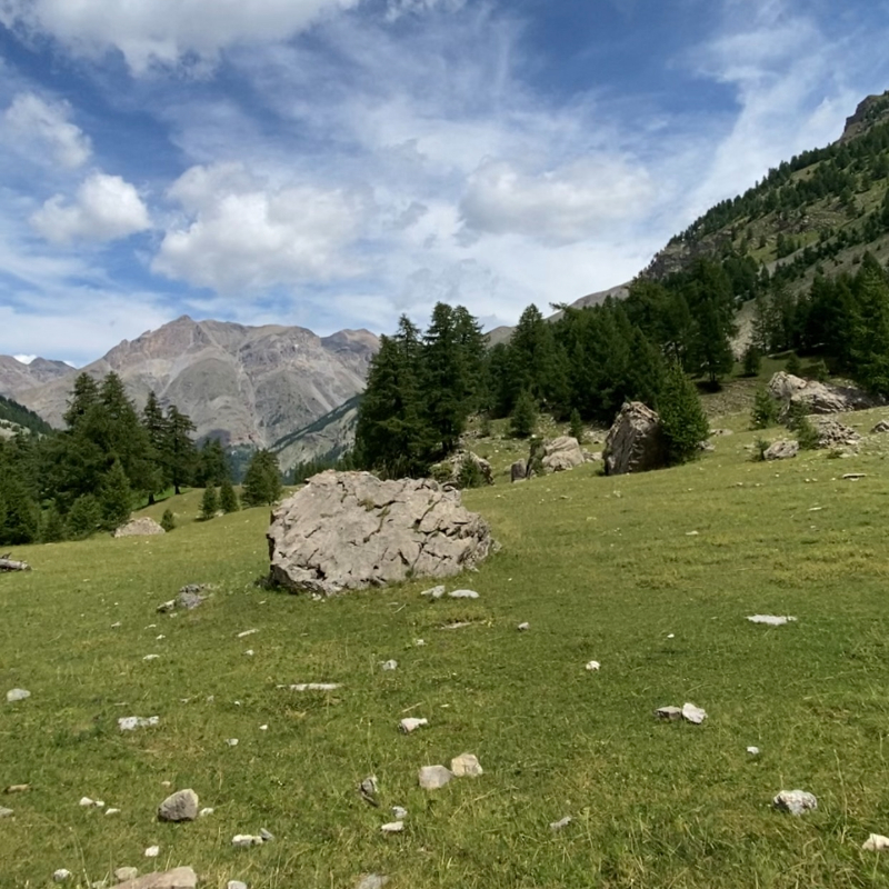 Image de Champ Cayolle