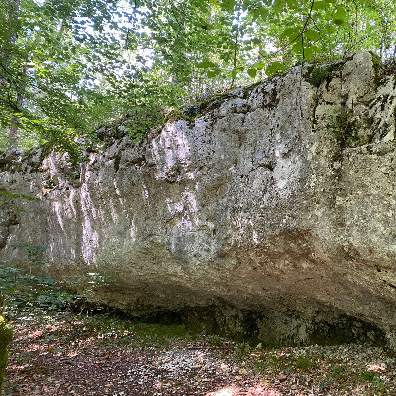 Image de La barre des écureuils