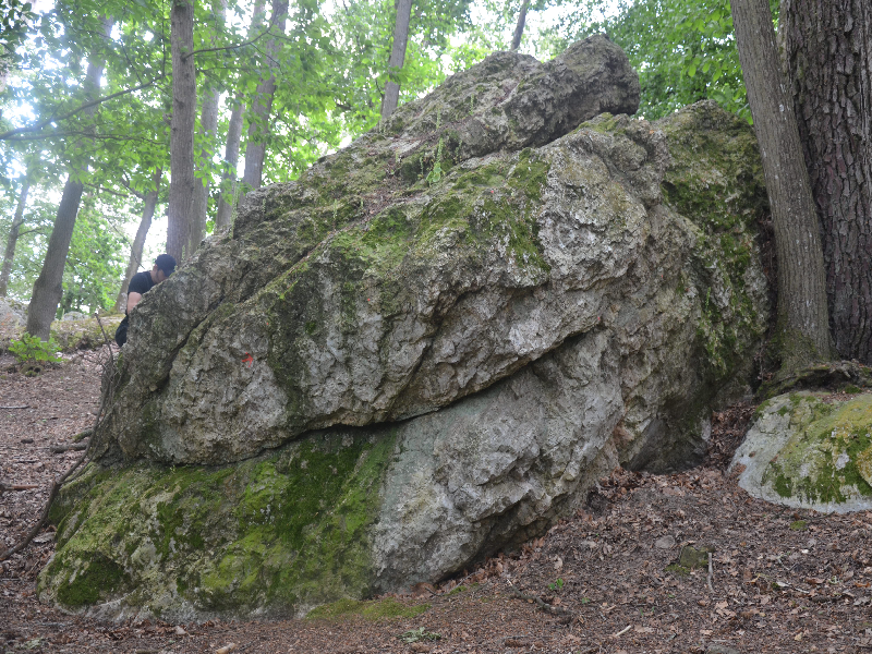 Image de Le Saut Roland