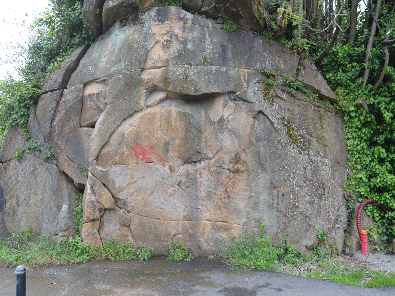 Image de Le Rocher de la Friche Evolutive