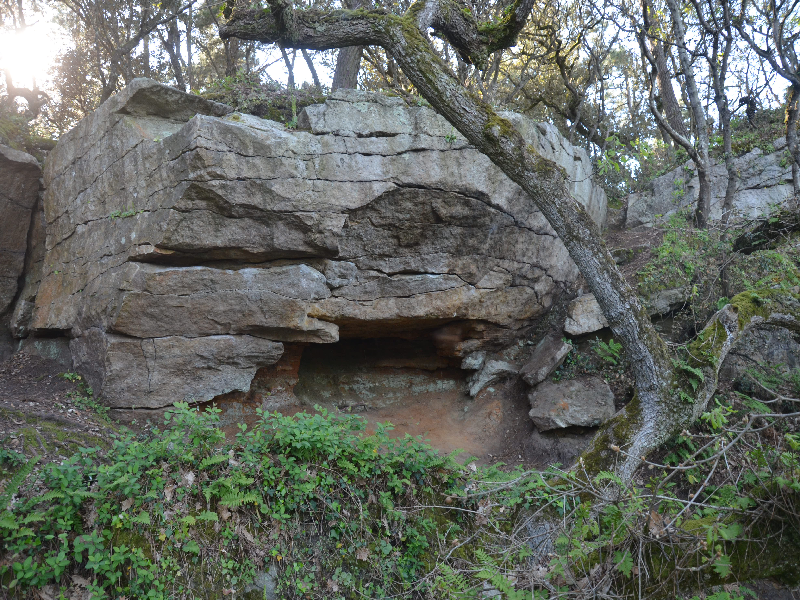 Image de Bois de la chaise