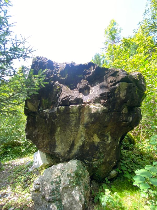 Image de La Maladière