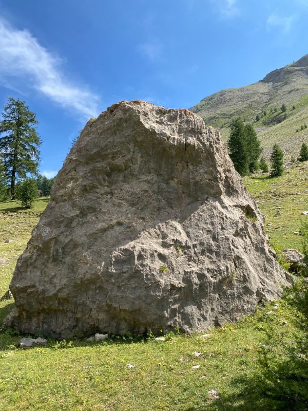 Image de Champ Cayolle