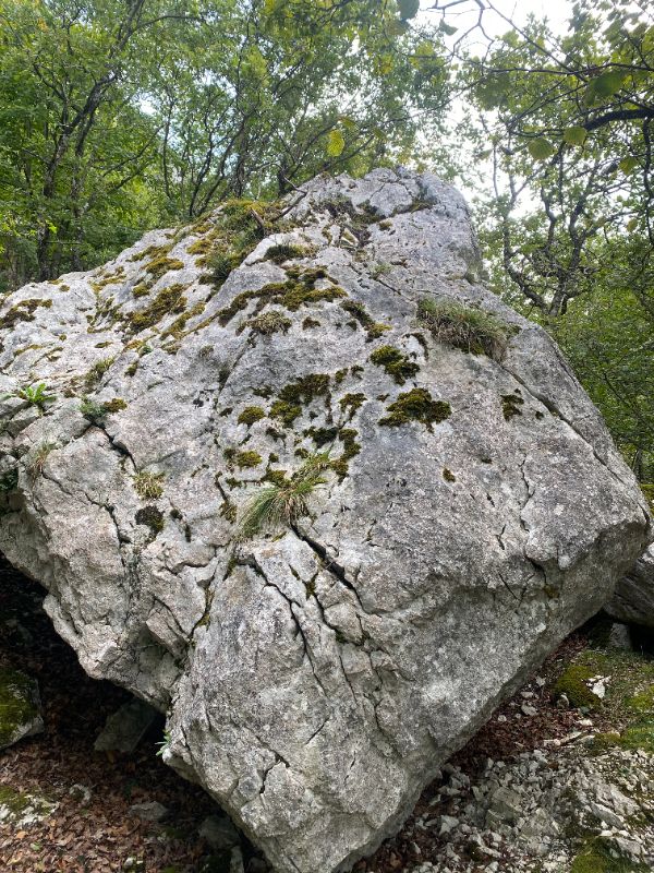 Image de Blocs à Ralf