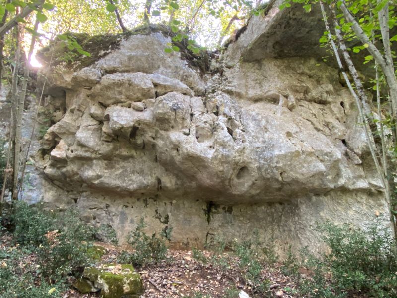 Image de Bois de la pue