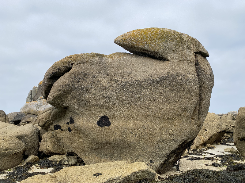 Image de Club Nautique