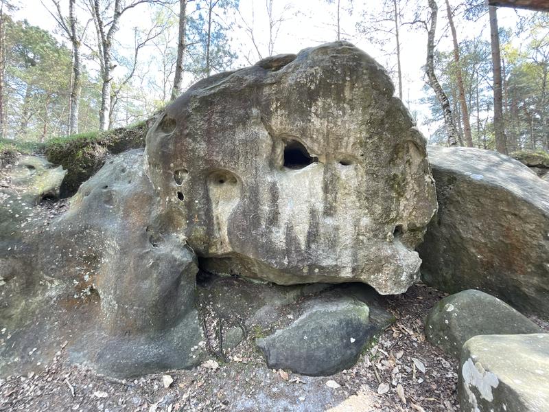 Image de Fontainebleau, Larchant