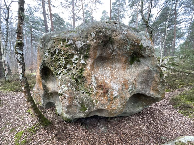 Image de Roche aux Oiseaux