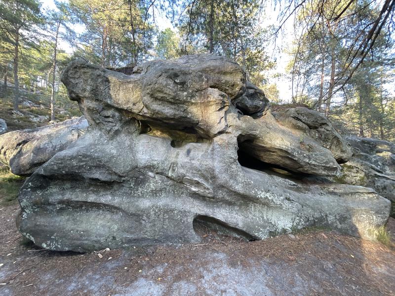 Image de Jean des Vignes