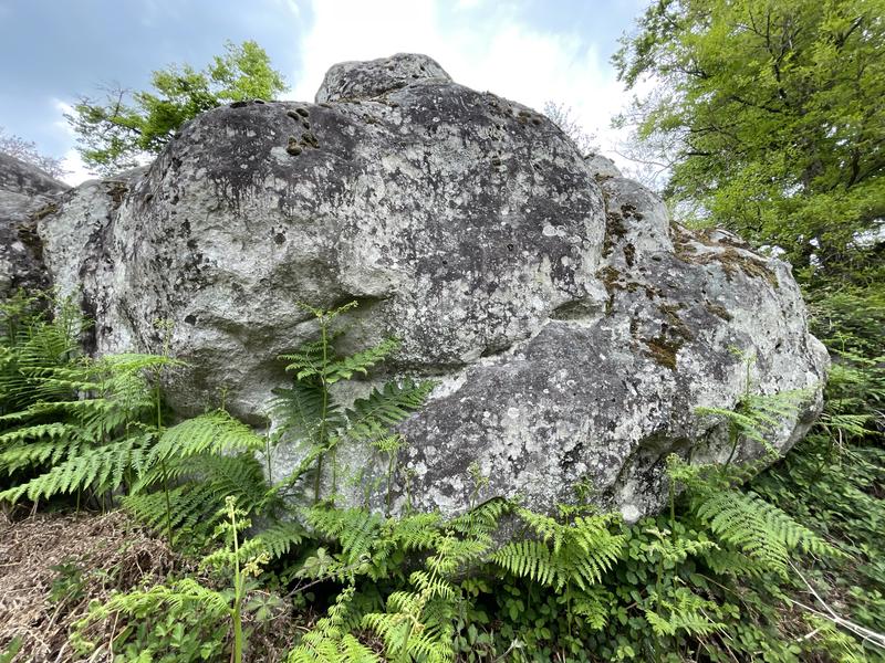 Image de Cuvier Ouest