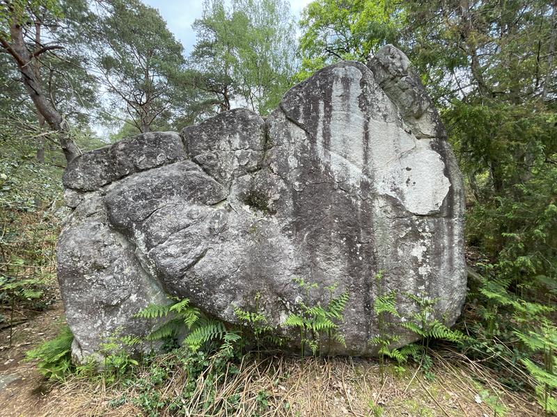 Image de Cuvier Nord