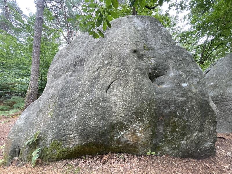 Image de Apremont Butte aux Dames