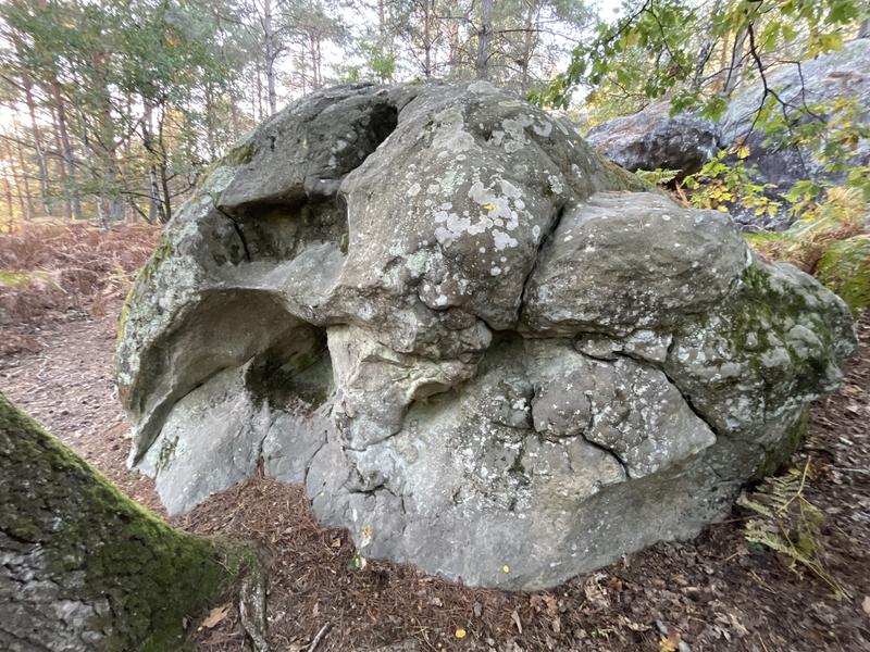 Image de Corne-Biche