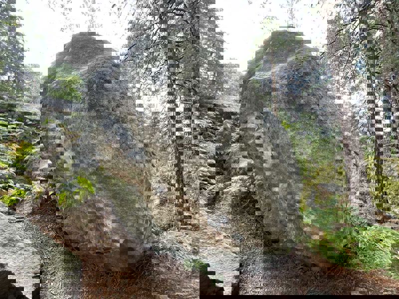 Image de Apremont Désert