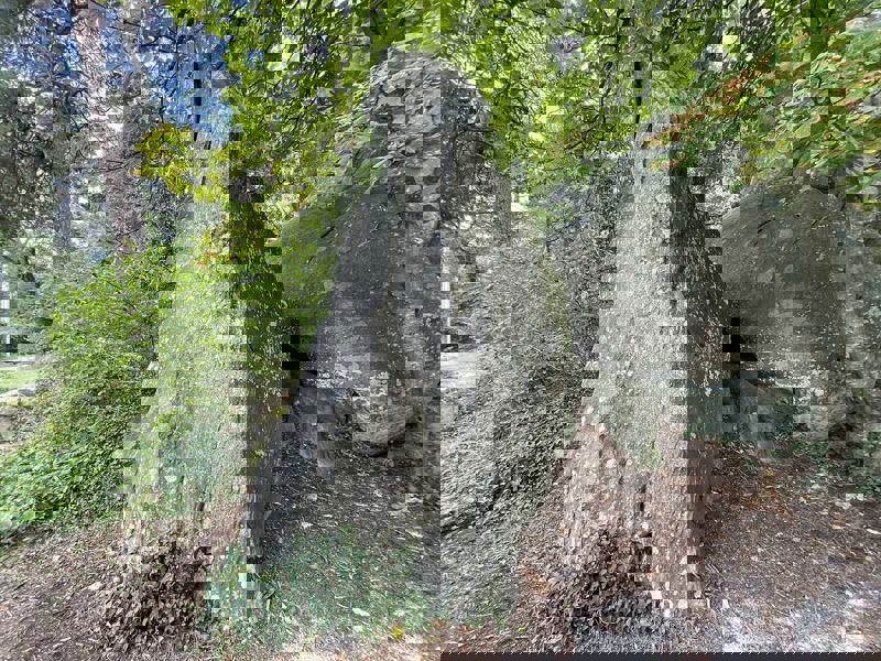 Image de Buthiers Canard