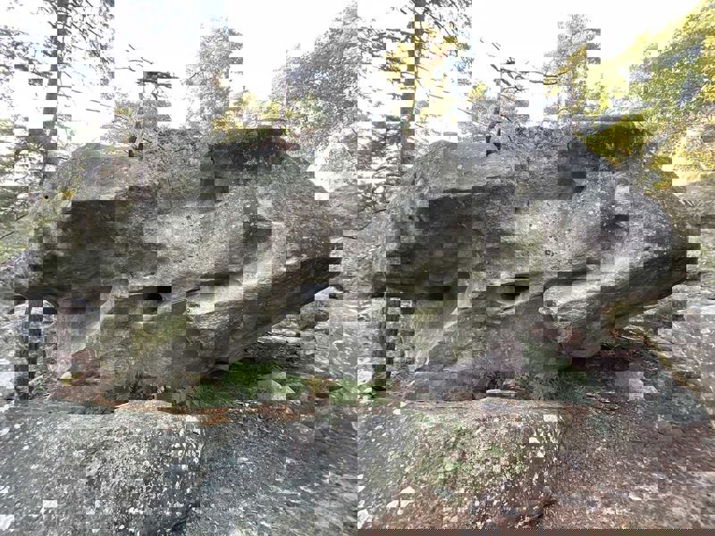 Image de Cuvier Petit Rempart