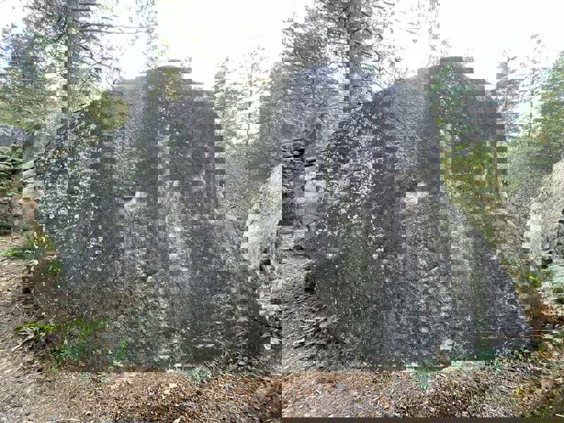 Image de Cuvier Reconnaissance