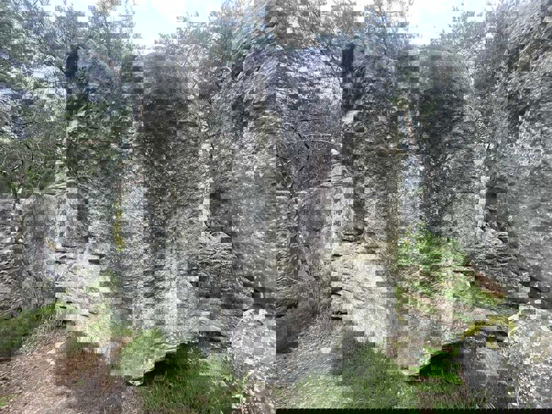 Image de Apremont Sully