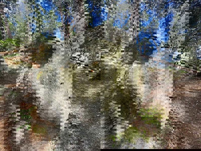 Image de Mont d'Olivet