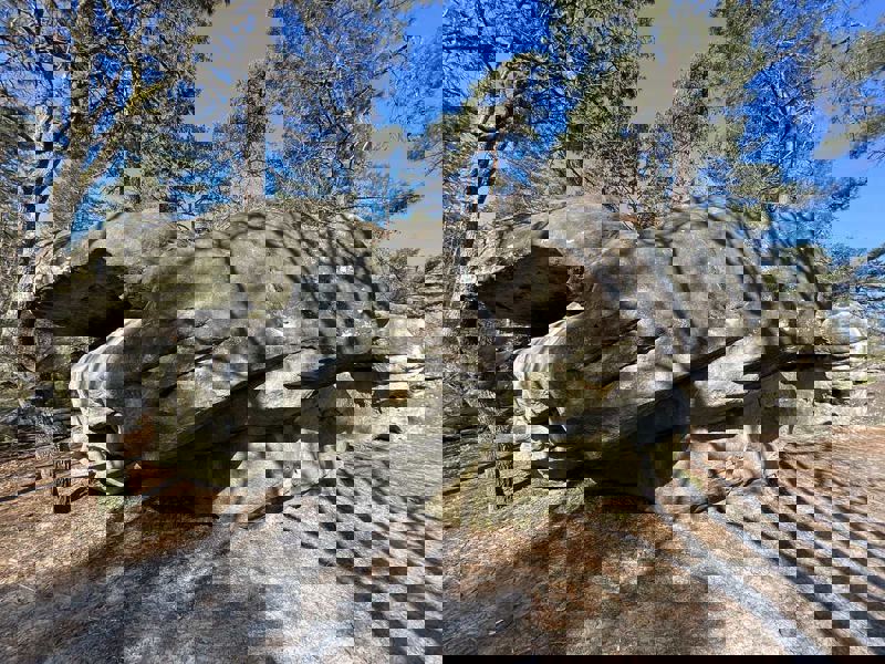 Image de Fontainebleau, Larchant