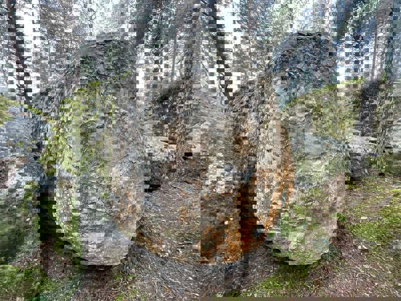 Image de Roche aux Oiseaux