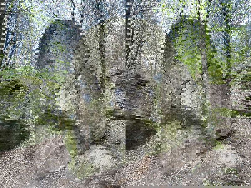 Image de Fontainebleau, Nemours