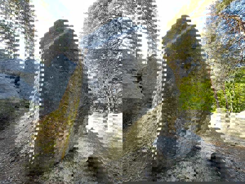 Image de Dame Jouanne