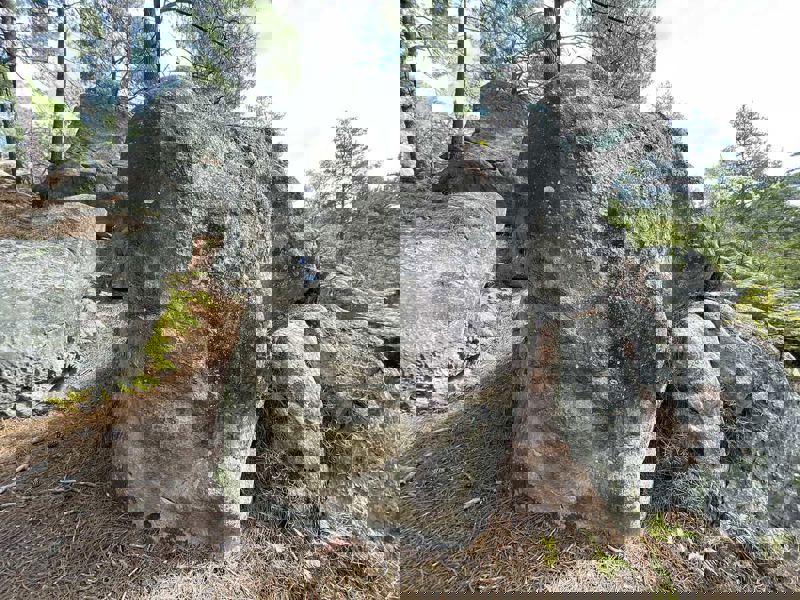 Image de Apremont Solitude