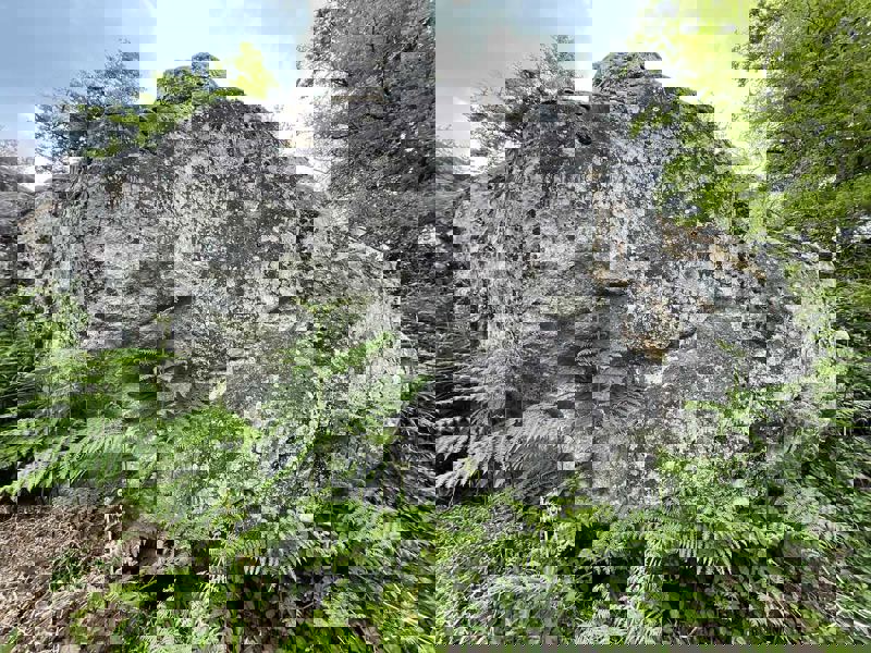 Image de Cuvier Ouest