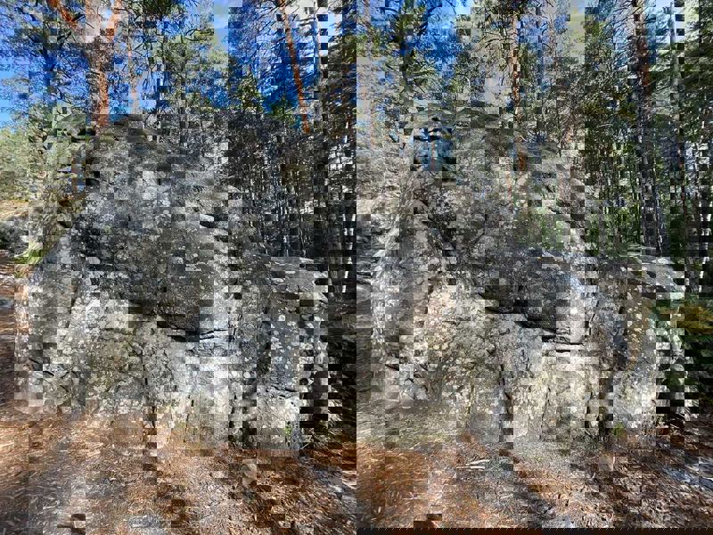 Image de Apremont Bizons