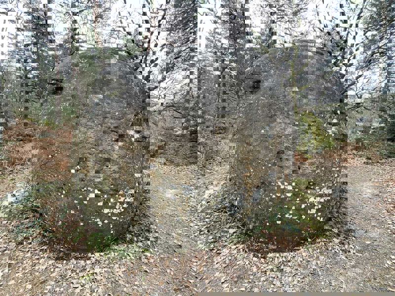 Image de Cuvier Nord