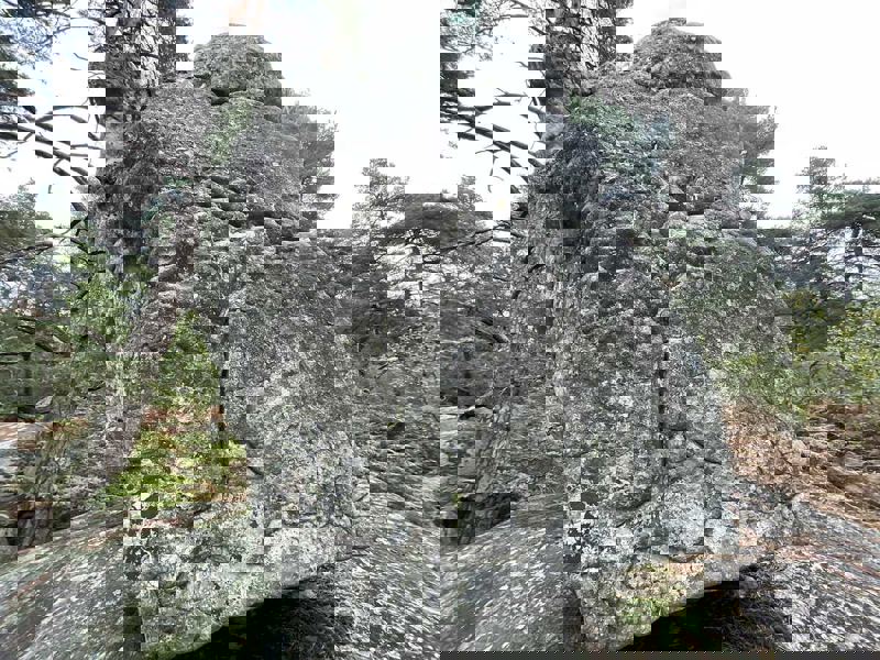 Image de Cuvier Rempart